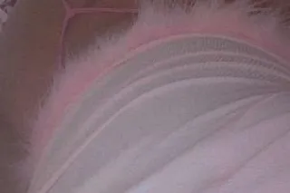 🍒thick pretty babe wet slipper... - Image 1